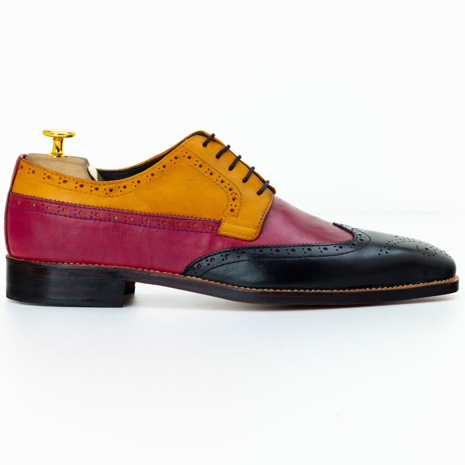 Multicolored dress shoe on a white background