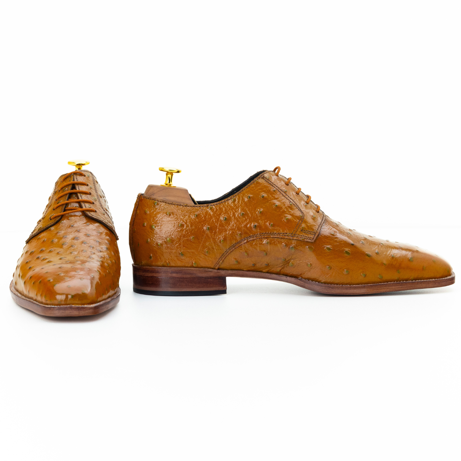 Pair of brown leather dress shoes on a white background
