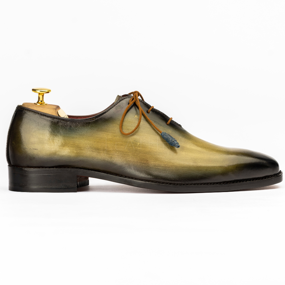 Polished leather shoe with a wooden shoe horn on a white background