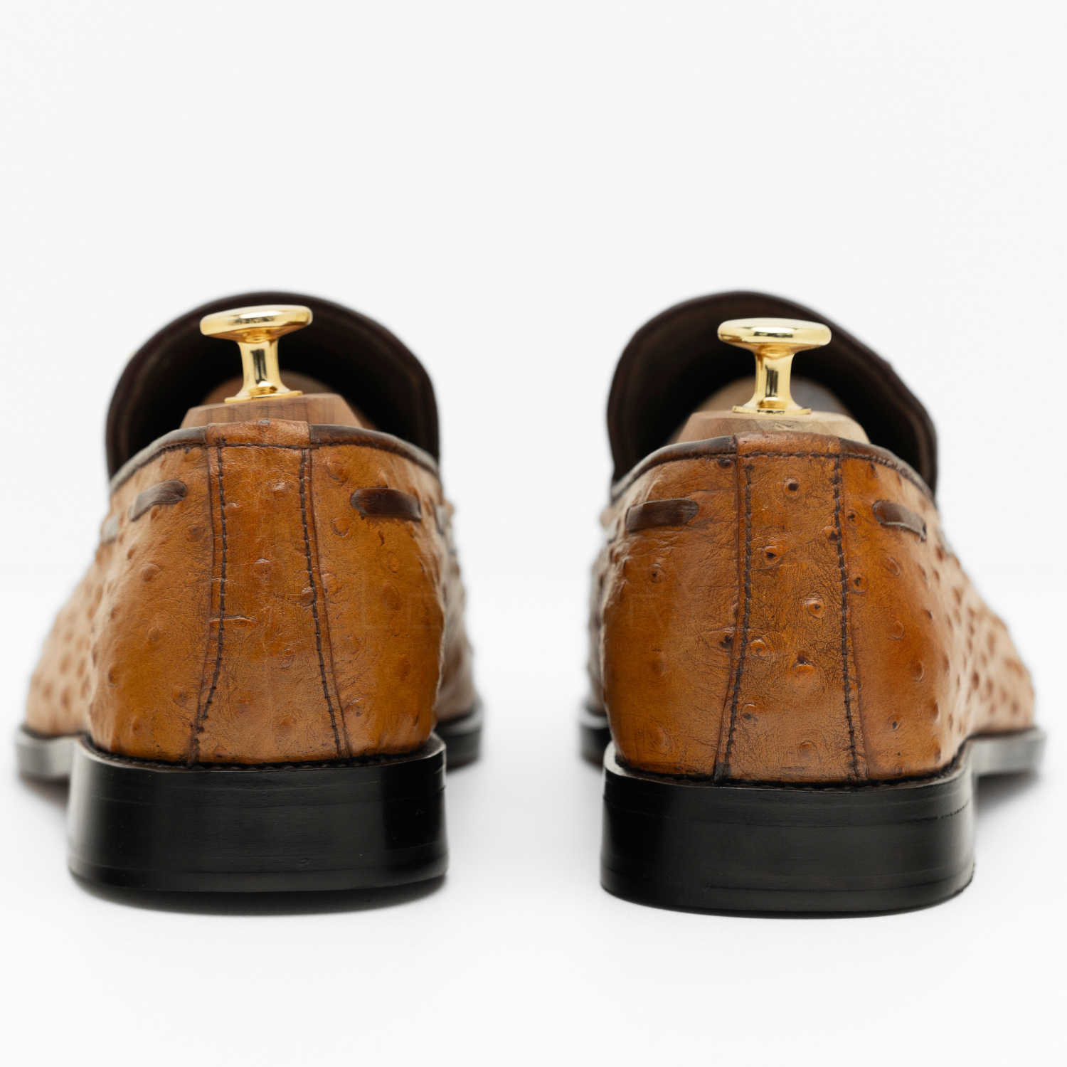 Brown leather loafers with gold tips on a white background