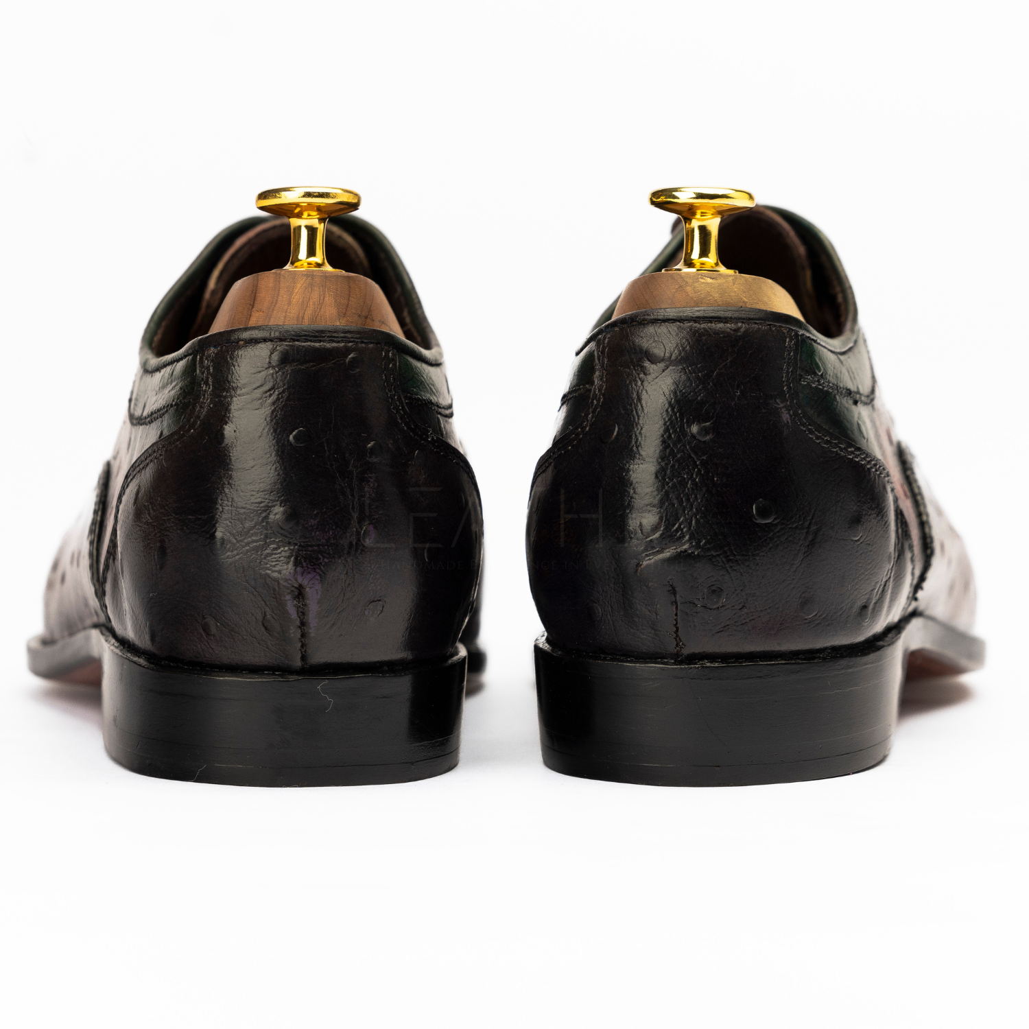 Black dress shoes with gold tips on a white background