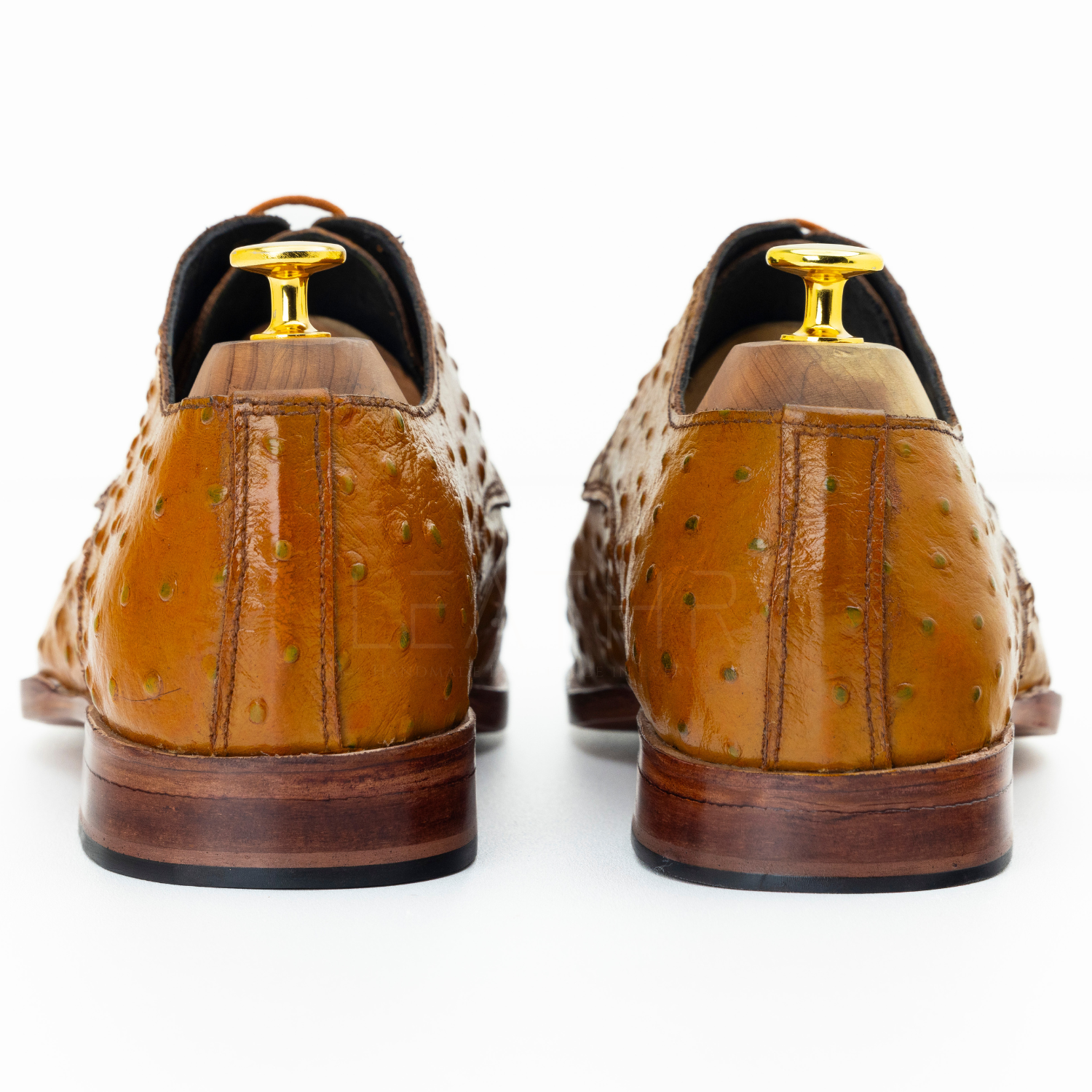 Brown leather shoes with gold accents on a white background